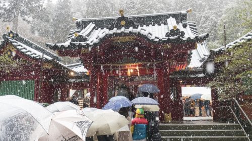 2017年の初詣は雪の中の箱根神社　2017 New Year Visit to Snowing Hakone Shrine