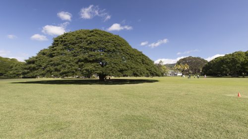 ハワイ旅行記2017その5　モアナルアガーデン編　Hawaii Trip 2017 Moanalua Garden