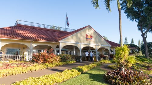 ハワイ旅行記2017その9　ドール・プランテーションとラニアケアビーチの夕日編　Hawaii Trip 2017 Dole Plantation and Laniakea Beach Sunset