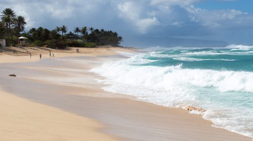 ハワイ旅行記2017その11　高波が楽しめる世界でも有数のサーフィンスポット　サンセットビーチ　Hawaii Trip 2017 Surfing Spot in Hawaii, Sunset Beach