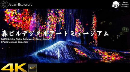 動画で国内旅行　世界初のデジタルアートミュージアム　MORI Building Digital Art Museum in Odaiba