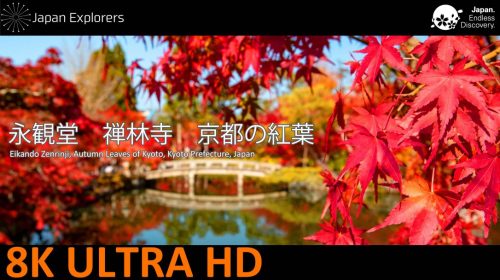 動画で国内旅行　京都府　永観堂禅林寺　Eikando, Kyoto