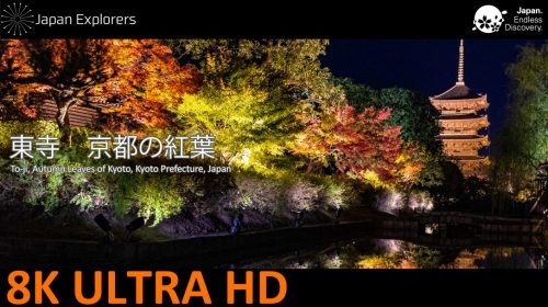 動画で国内旅行　京都府　東寺・ライトアップ紅葉　To-ji, Kyoto