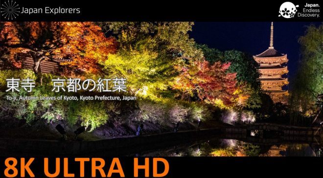 動画で国内旅行　京都府　東寺・ライトアップ紅葉　To-ji, Kyoto