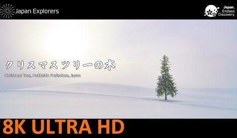 動画で国内旅行　北海道　クリスマスツリーの木　Christmas Tree in Hokkaido, Hokkaido