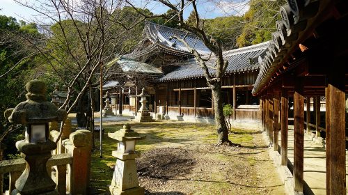大避神社の絶景写真
