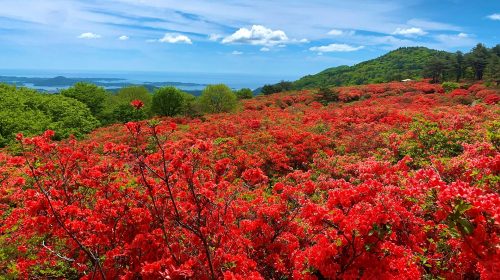 徳仙丈山の絶景写真