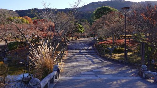 円山公園の絶景写真
