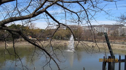 水月公園の絶景写真