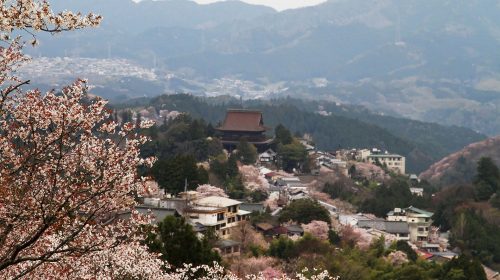 吉野山の桜の絶景写真