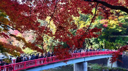 香嵐渓の紅葉の絶景写真