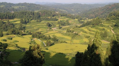星峠の棚田の絶景写真