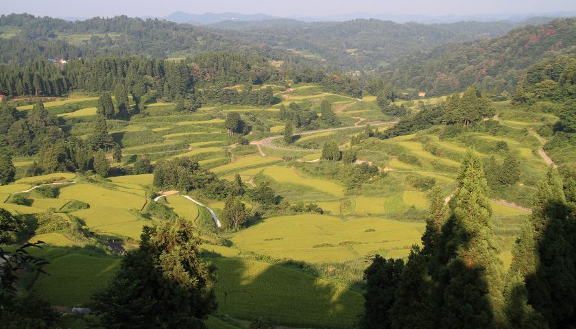 新潟県の絶景スポット「星峠の棚田」