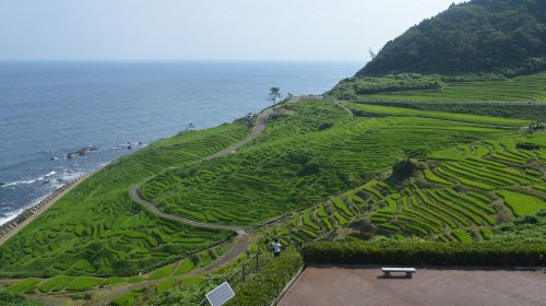 白米千枚田の絶景写真