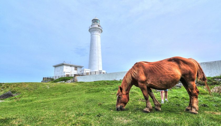 青森県の絶景スポット「尻屋崎」