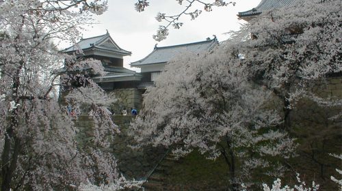 上田城の絶景写真