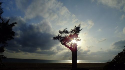 アーラ浜の絶景写真