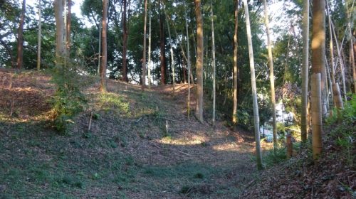 多部田城の絶景写真
