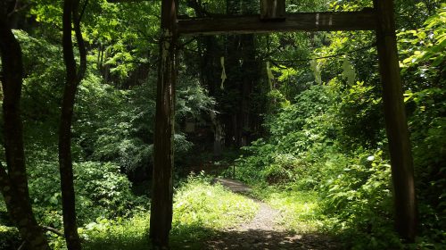高尾山の絶景写真