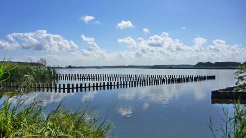 手賀沼の絶景写真