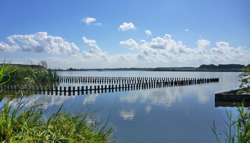 千葉県の絶景スポット「手賀沼」