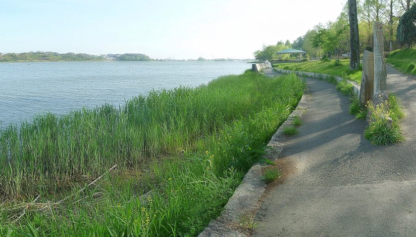 静岡県の絶景スポット「佐鳴湖」