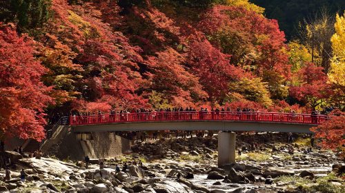 香嵐渓の絶景写真