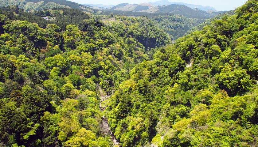 大分県の絶景スポット「九酔渓」