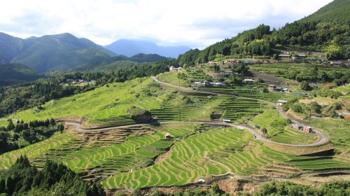 丸山千枚田の絶景写真