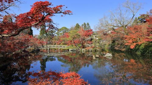 永観堂の絶景写真