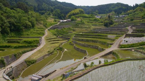 井仁の棚田の絶景写真