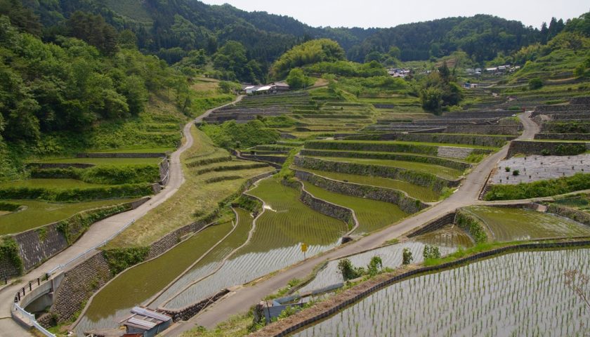 広島県の絶景スポット「井仁の棚田」