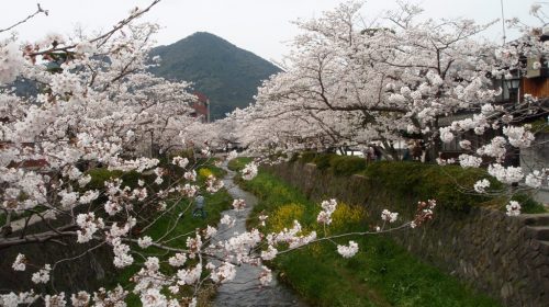 一の坂川の絶景写真