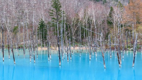 青い池の絶景写真