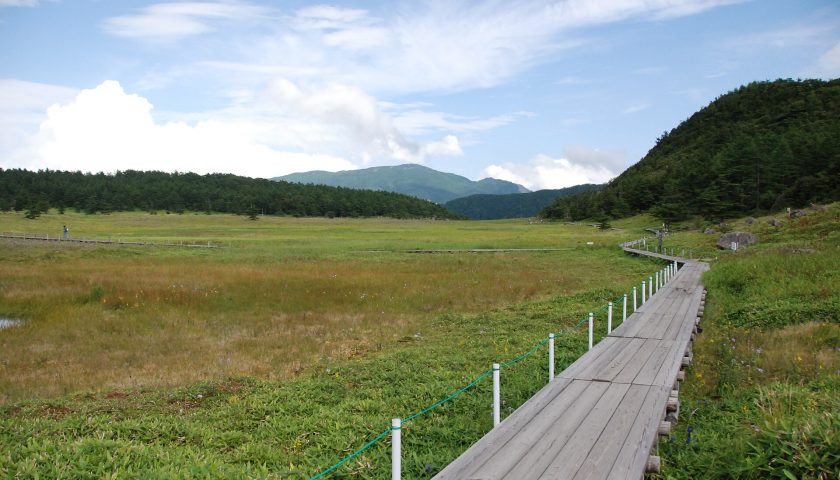 長野県の絶景スポット「池の平湿原」