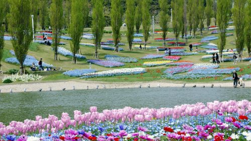 国営明石海峡公園の絶景写真
