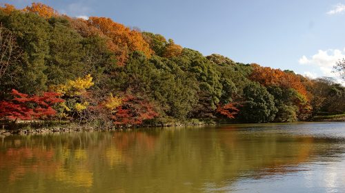 兵庫県立明石公園の絶景写真