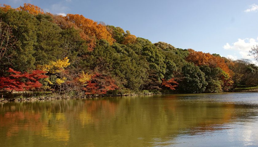 兵庫県の絶景スポット「兵庫県立明石公園」