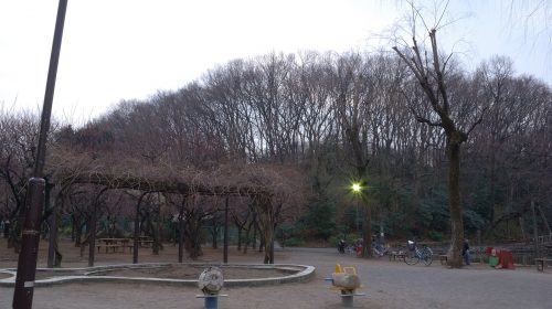 赤塚城の絶景写真