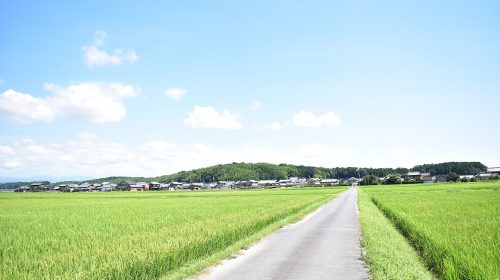 安濃城の絶景写真
