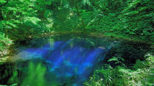 十二湖の絶景写真