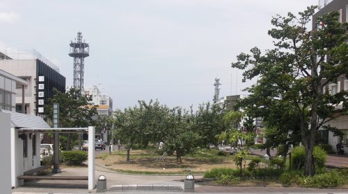 りんご並木の絶景写真
