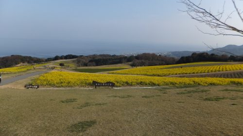 兵庫県立あわじ花さじきの絶景写真