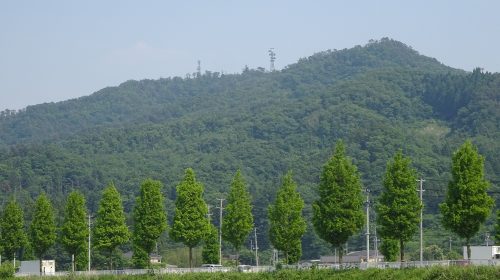 蕃山の絶景写真