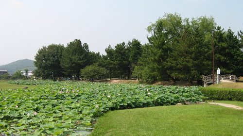 高松城の絶景写真