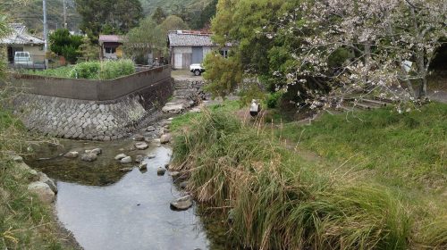 ぶつぶつ川の絶景写真