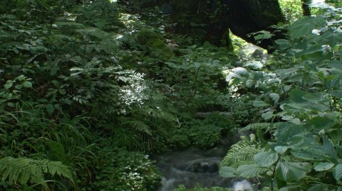 瀞川平の絶景写真
