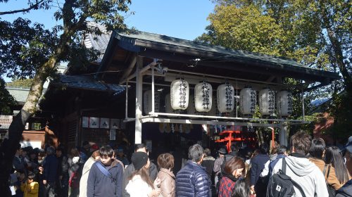 千代保稲荷神社の絶景写真