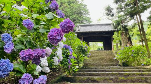 大中寺の絶景写真