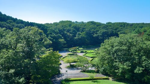 台原森林公園の絶景写真